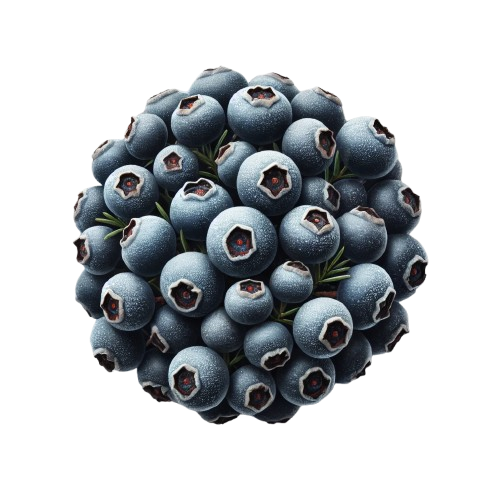 Image bacground 1 - Navy Strenght Gin