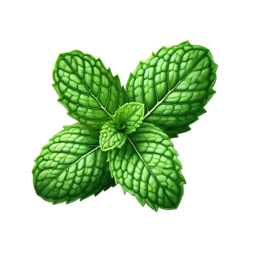 Image bacground 2 - London Dry Gin