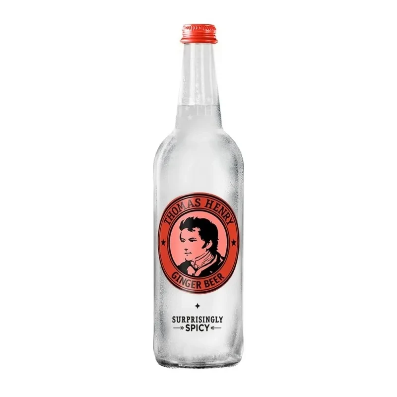 Th. Ginger beer 0,75l