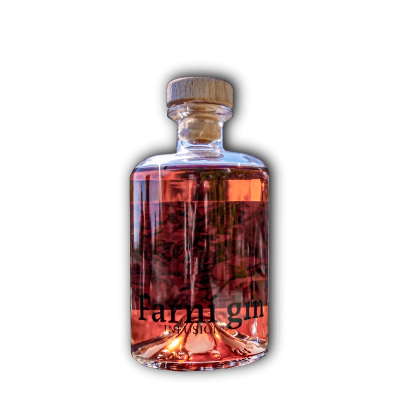 Farní Gin 43%, 0,5l