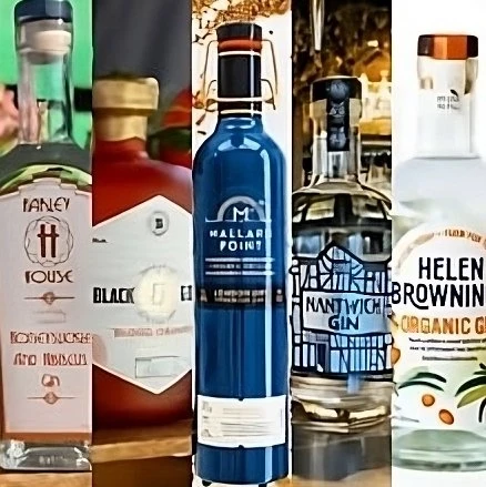 Obrázek eventu - GIN Fest 