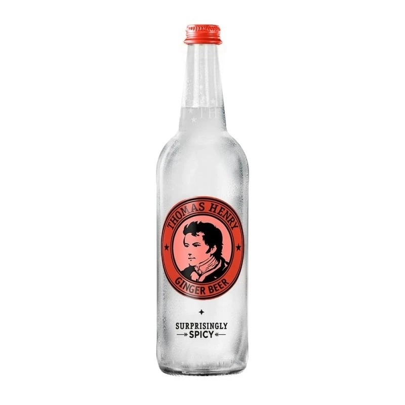 Th. Ginger beer 0,75l