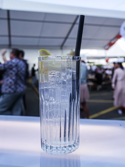 Gin Fizz