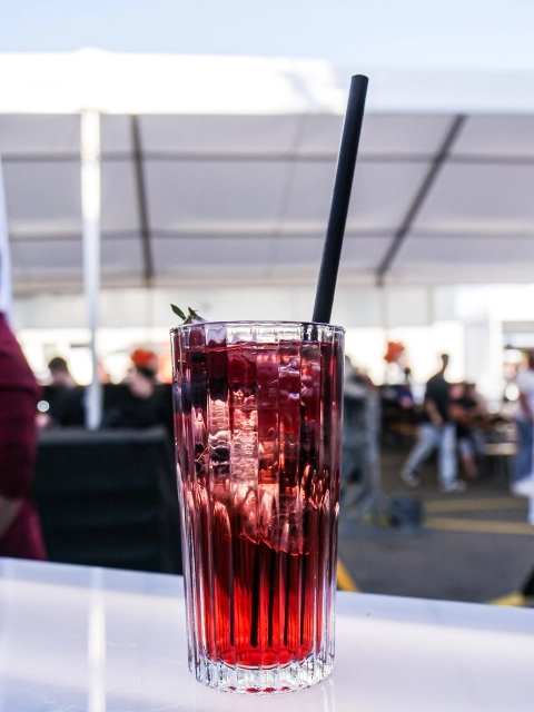 Sloe Gin Fizz