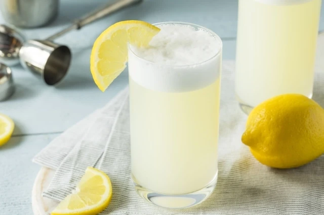 Gin Fizz